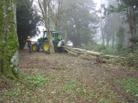  keeps the tractor stationary and pulls the tree to it with a 10 ton winch...